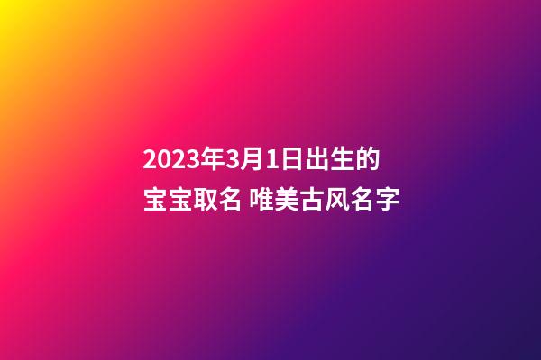 2023年3月1日出生的宝宝取名 唯美古风名字